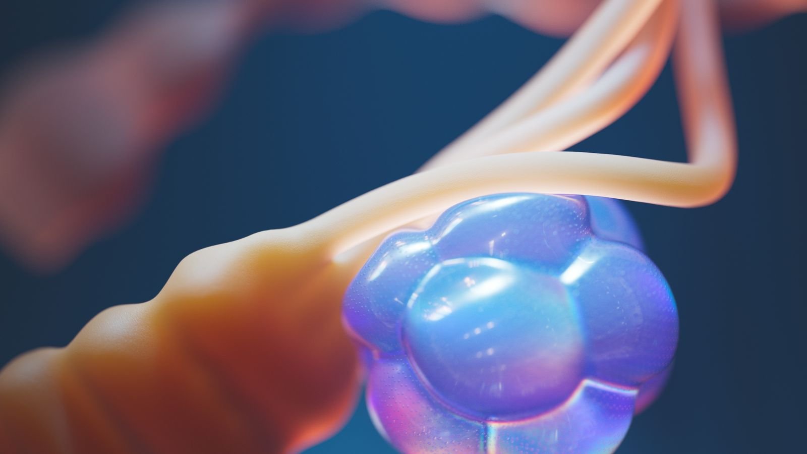 Neuron and synapse close-up representing EEG signal processing and neuroengineering
